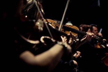 7. Sinfoniekonzert - 